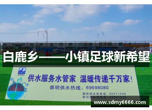 白鹿乡——小镇足球新希望
